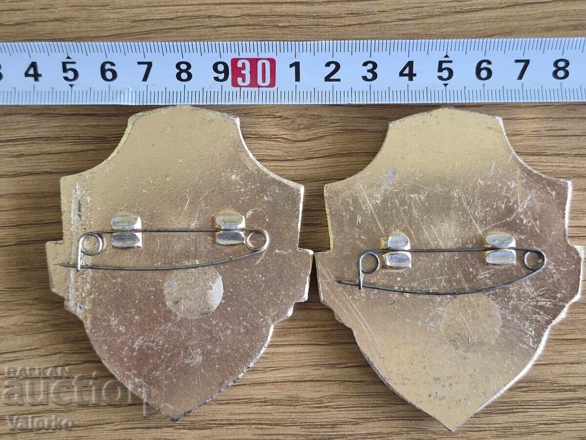 Lot de două insigne - 6