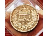 Austro-Ungaria 1 coroană 1915