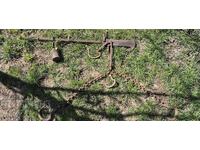 CANTAR - MARE - MASIV