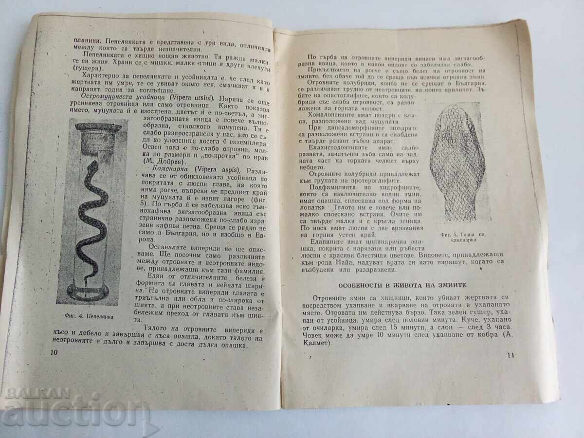 Licitație ANIMALE ȘI INSECTE OTRĂVITOARE LA NOI