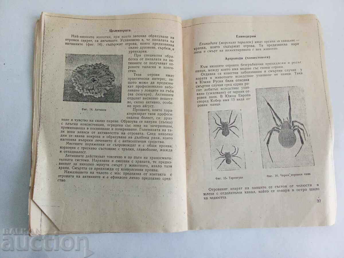 Livrarea ANIMALE ȘI INSECTE OTRĂVITOARE LA NOI