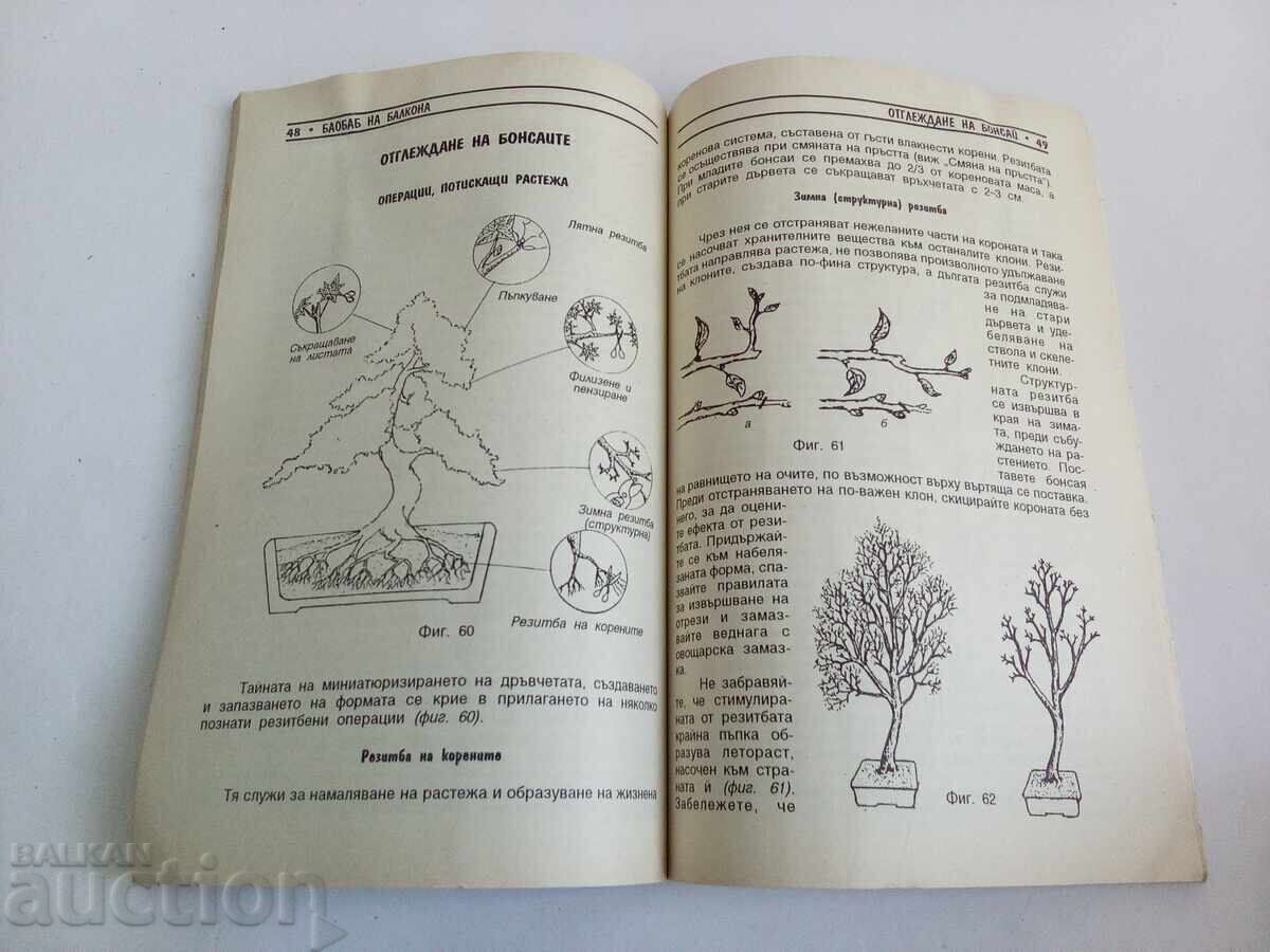 Bonsai pentru casă, pentru balcon, Hristo Popov cu preț € 6.00 | 11.73 BGN