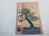 Bonsai for home, for balcony Hristo Popov