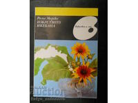 Rima Mirska "The Art of Ikebana"