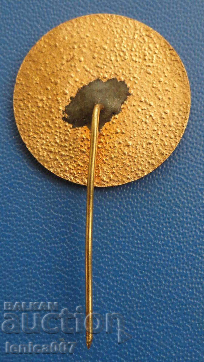 Emblemă rară OGS cu preț € 3.20 | 6.26 BGN