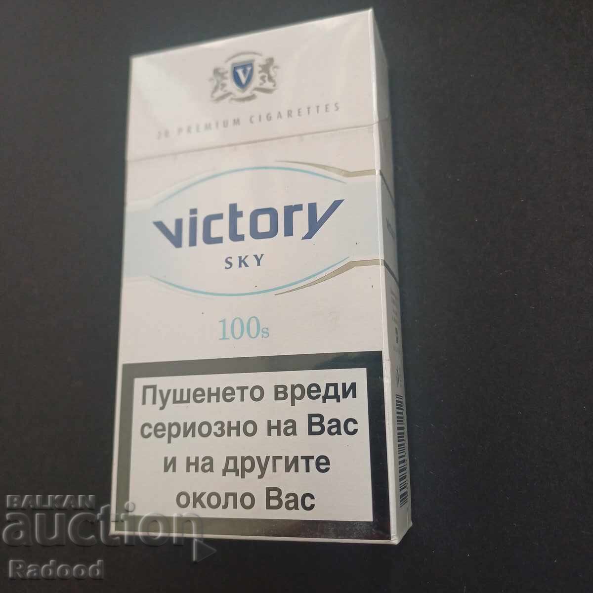 Victorie, Viktori 100mm SKY