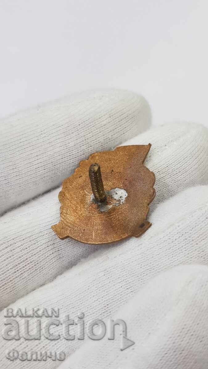 Early rare badge, DOS badge - 1947 - 1957 - 6 Early rare badge, DOS badge - 1947 - 1957 - 6