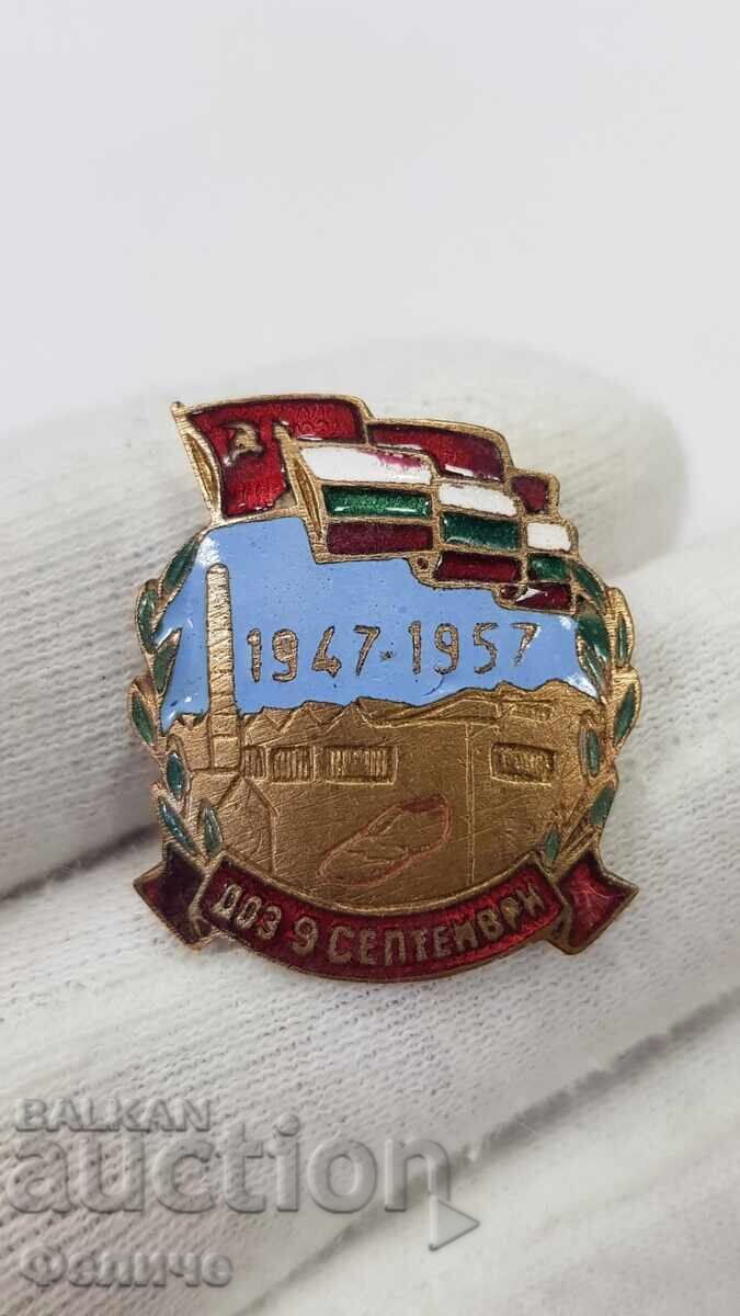 Early rare badge, DOS badge - 1947 - 1957 Early rare badge, DOS badge - 1947 - 1957
