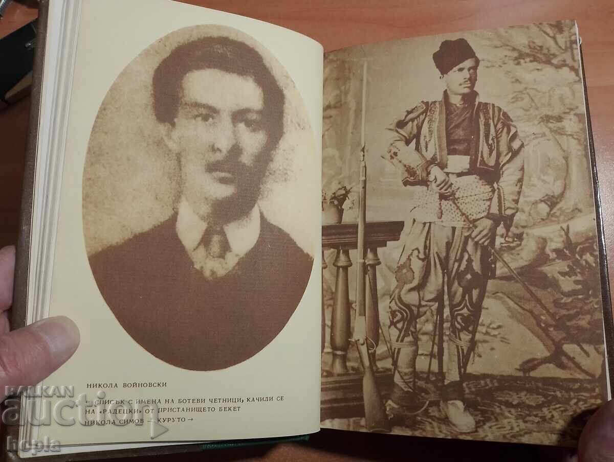 Licitație BOT'S CHETNICS TELL