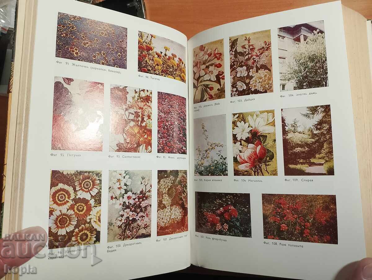 Livrarea O CARTE PENTRU FIECARE ZI ȘI FIECARE CASĂ - ENCICLOPEDIA HOUSEWIFE