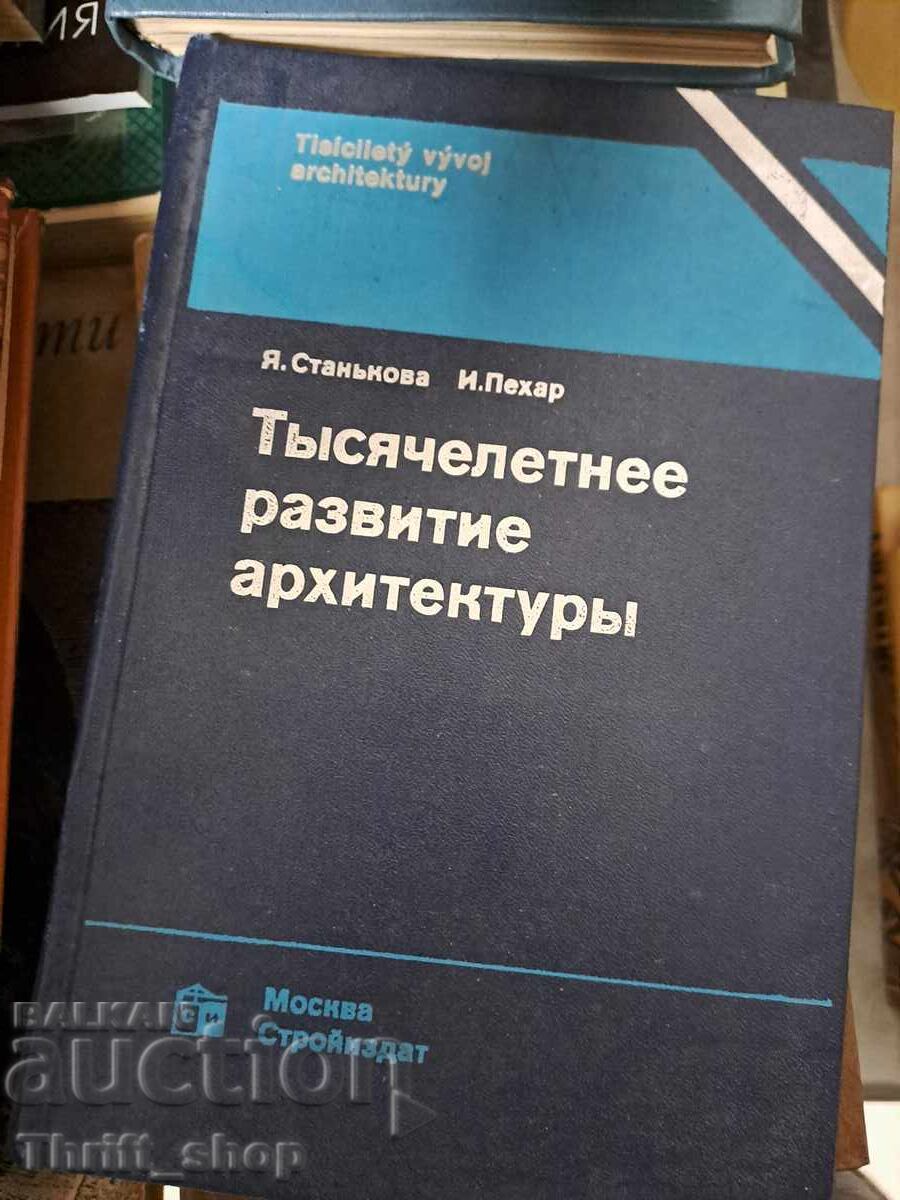 Thousand-year development of architecture