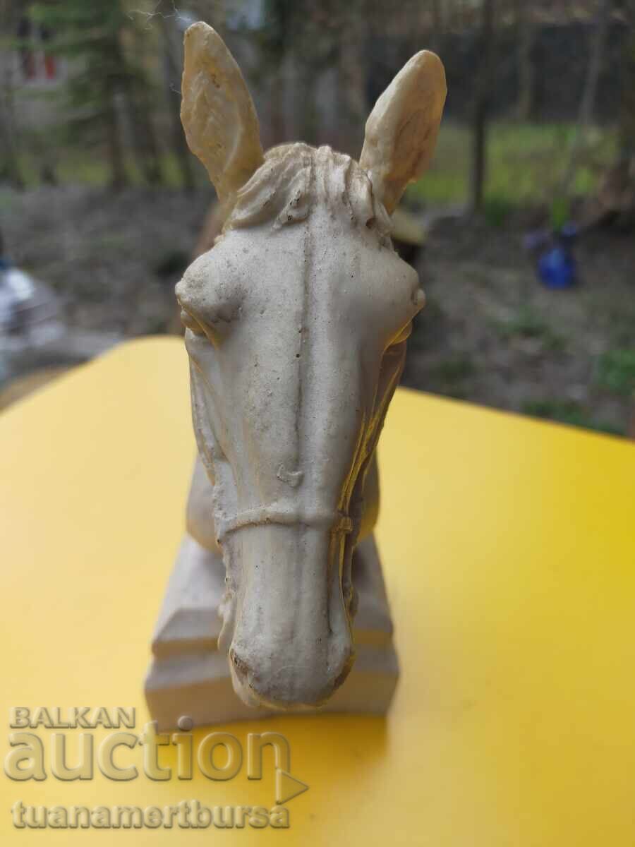Licitație Bust de cal