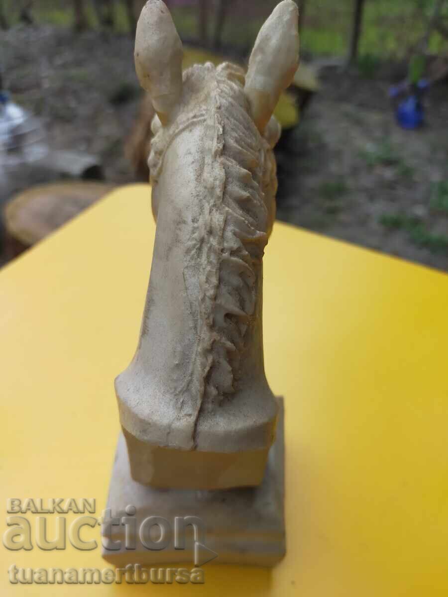 Livrarea Bust de cal