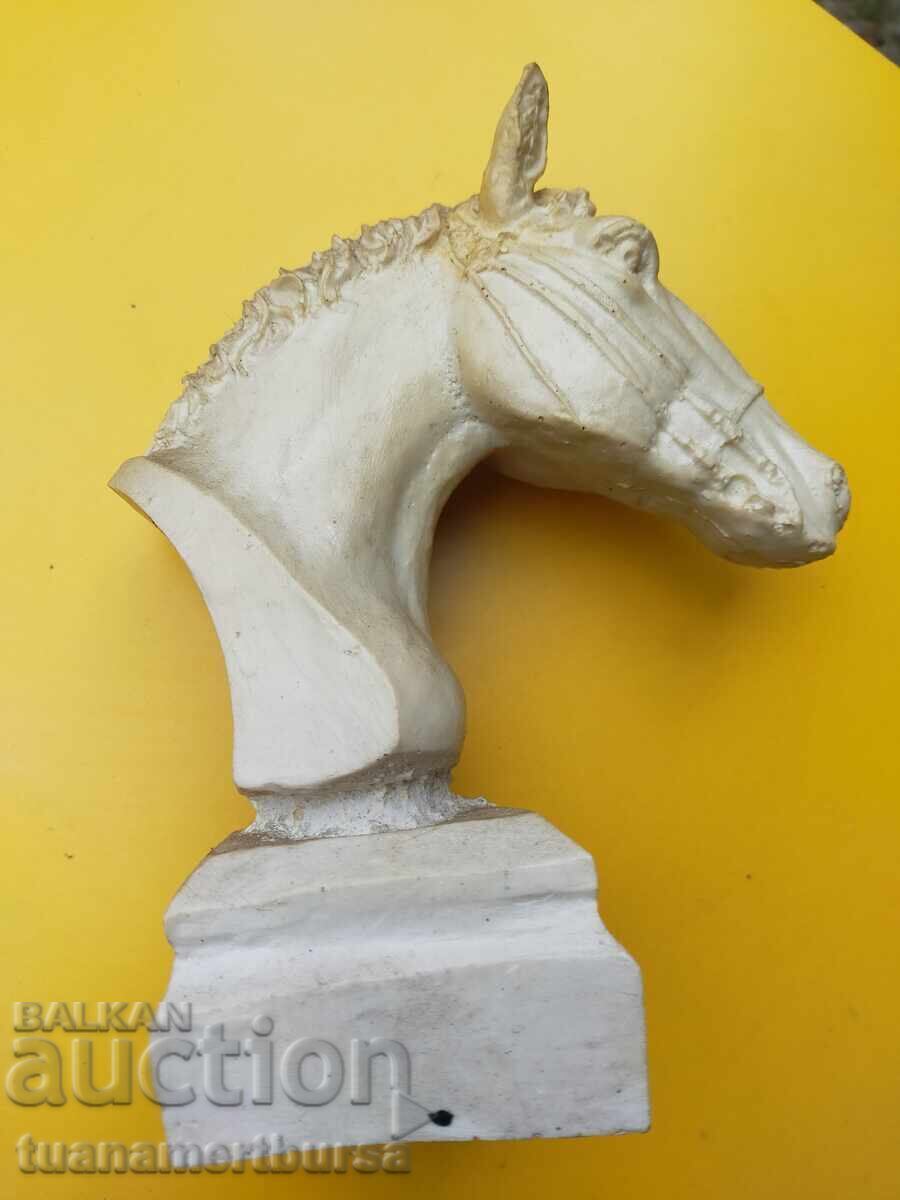 Bust de cal - 5