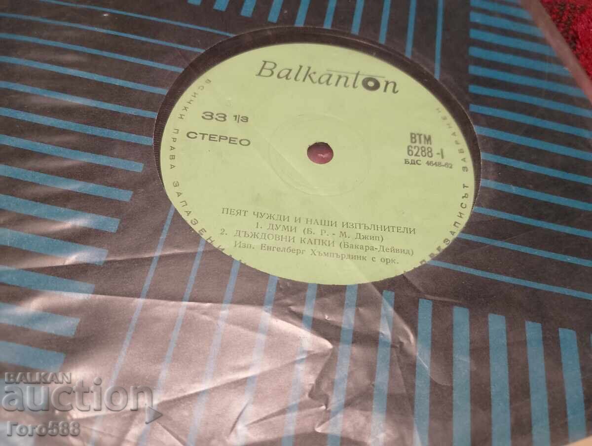 Livrarea Plăci gramofon mici 2