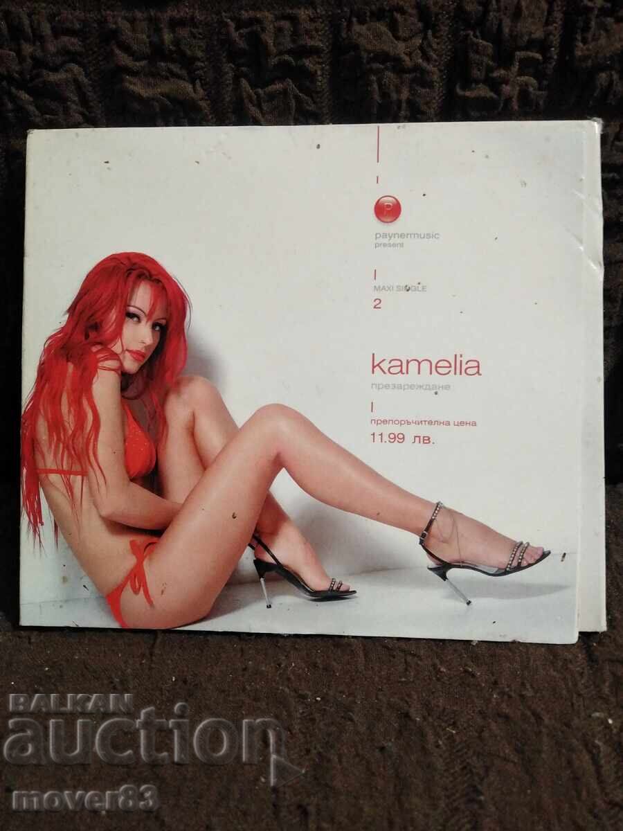 CD disc. Kamelia. 2004 year CD disc. Kamelia. 2004 year