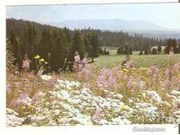 Картичка  България  Рила Хижа "Хр.Смирненски"-в околностите