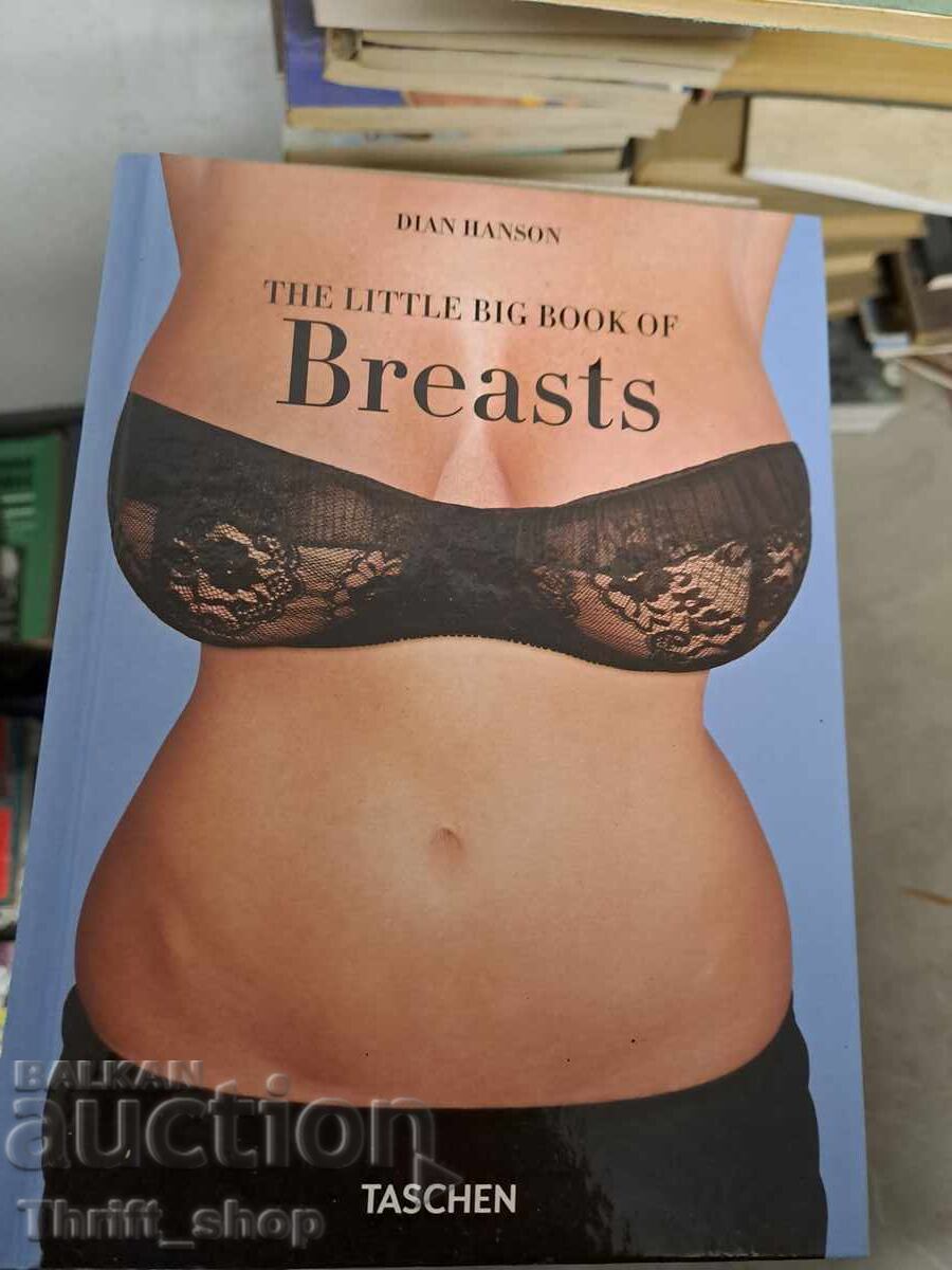 Το μικρό μεγάλο βιβλίο των Στήθων