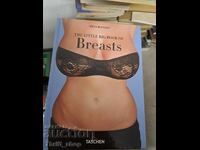 Το μικρό μεγάλο βιβλίο των Στήθων