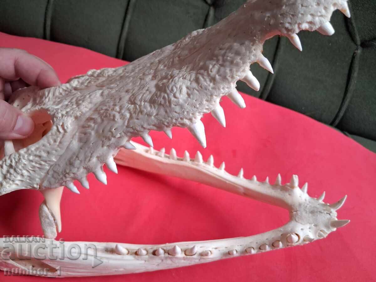 Σαγόνι Κροκοδείλου - 5