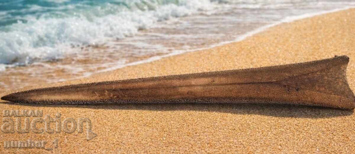 Κέρατο Μαύρου Μαρλίν - 5