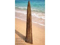 Κέρατο Μαύρου Μαρλίν