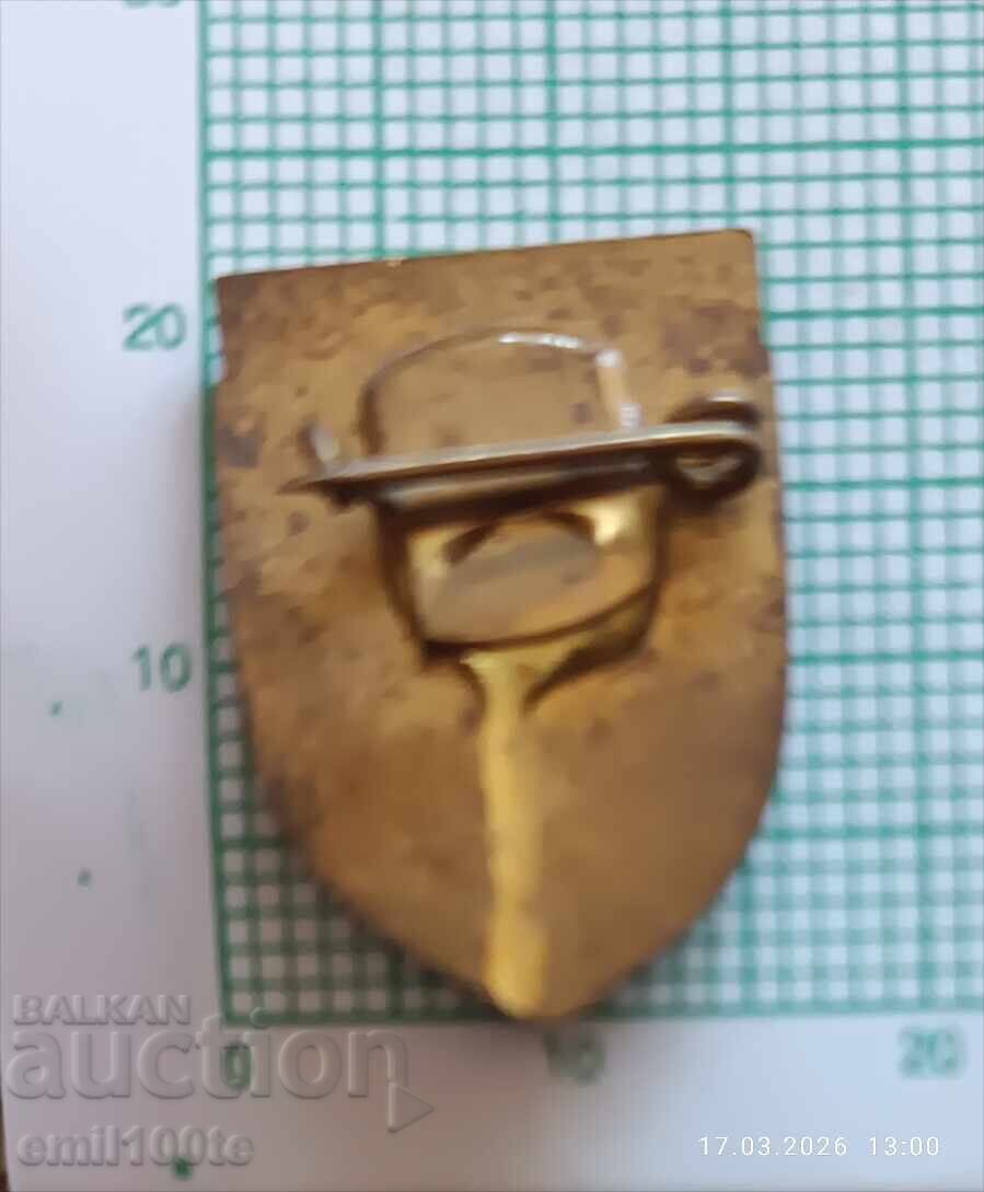 Insigna - stema Haskovo - 5