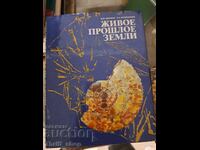 Viața trecută a pământului