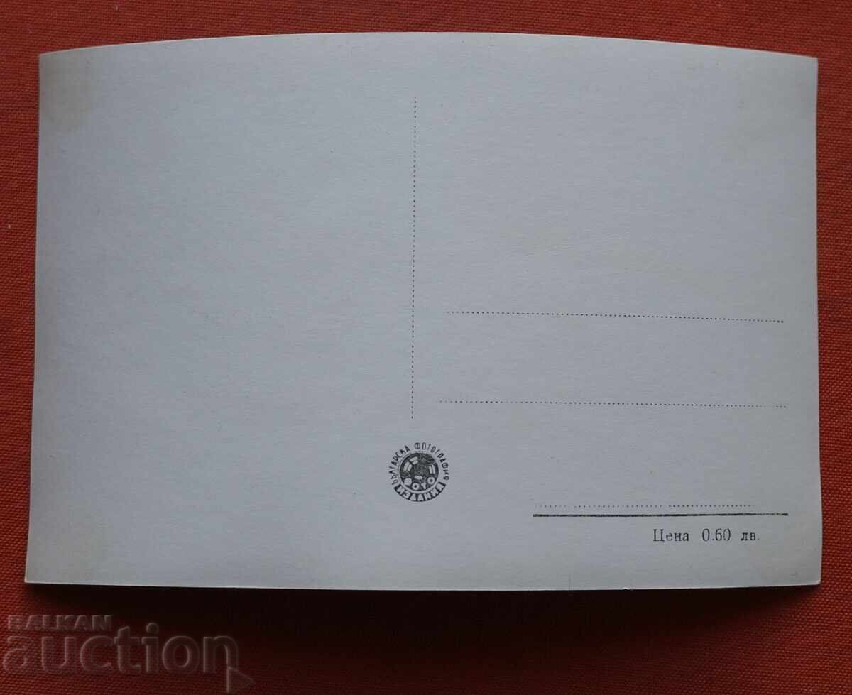 Τσουκνίδα με τιμή € 0.50 | 0.98 BGN Τσουκνίδα με τιμή € 0.50 | 0.98 BGN