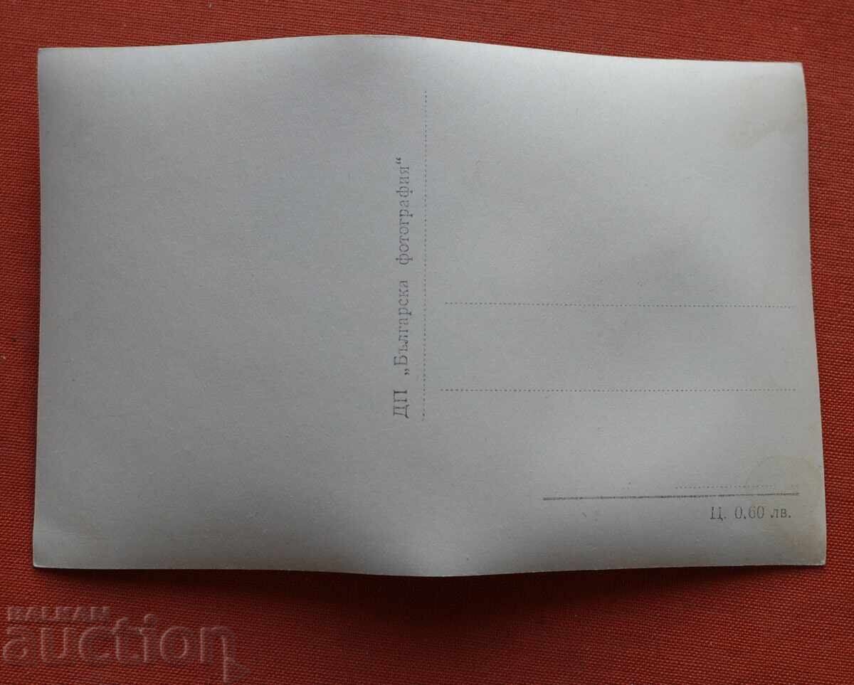 Stinging nettle with price € 0.50 | 0.98 BGN