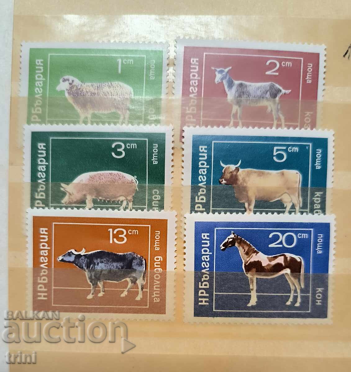 Bulgaria 1974 Animale de companie