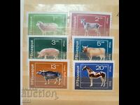Bulgaria 1974 Domestic Animals
