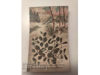 Παλιά γαλλική χριστουγεννιάτικη καρτ ποστάλ