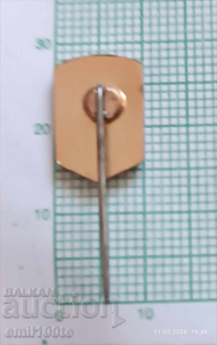 Livrarea Insigna - călăreț maghiar