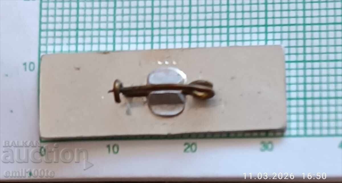 Znachka - 100 godini Stolichno zdraveopazvane 1879-1979 - 6