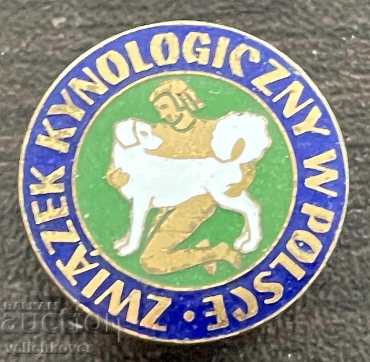 43074 Polonia semn Uniunea Cinologilor Polonezi Amatori Câini