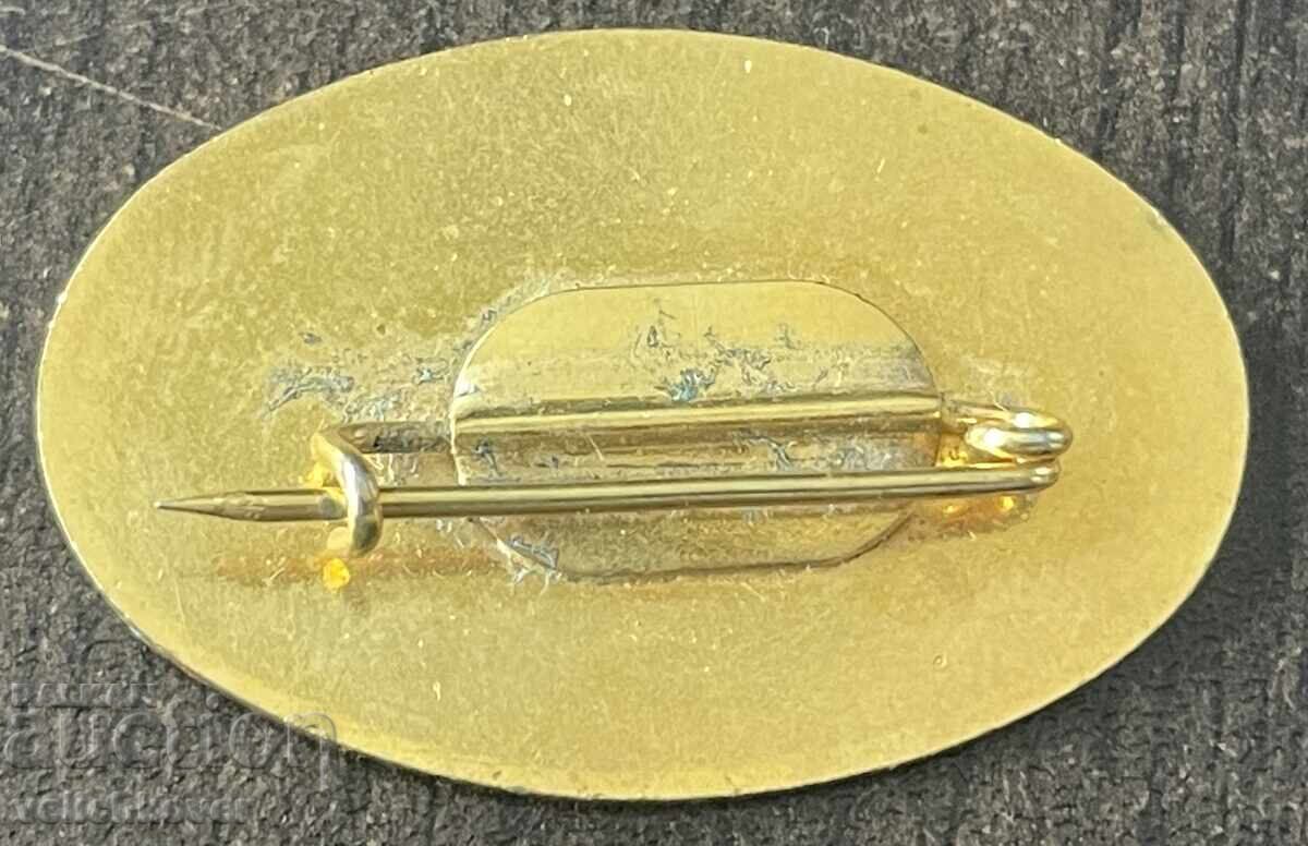 43082 USSR badge 10g. Radio and Television Exchange CMEA with price € 3.00 | 5.87 BGN 43082 USSR badge 10g. Radio and Television Exchange CMEA with price € 3.00 | 5.87 BGN