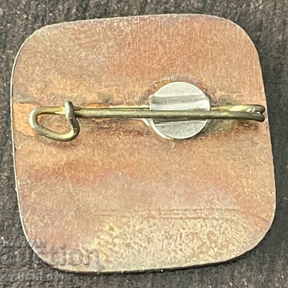 43083 URSS insignă Serviciul de control și salvare turistică em cu preț € 12.00 | 23.47 BGN