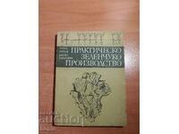 ПРАКТИЧЕСКО ЗЕЛЕНЧУКОПРОИЗВОДСТВО