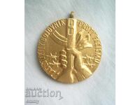 Znachka znak - Zasluzhil borets sreshtu fashizma, Chekhoslovakiya