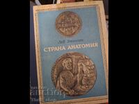 Country Anatomy Lev Ettingen