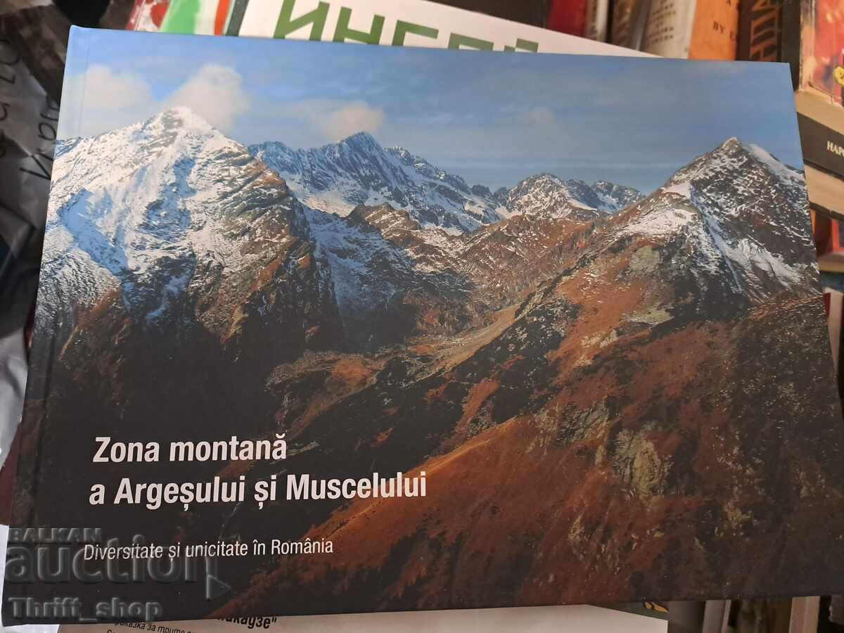 Mountain area in Arges and Muscel