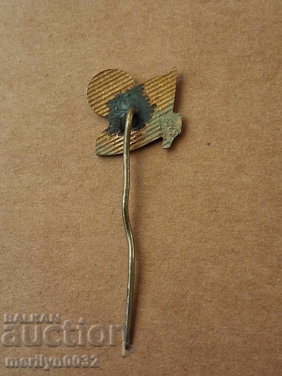 Livrarea Emblema Esperanto cu medalie emailată insignă