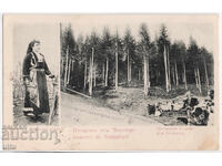 България, Поздрав от Чепеларе, пътувала, рядка