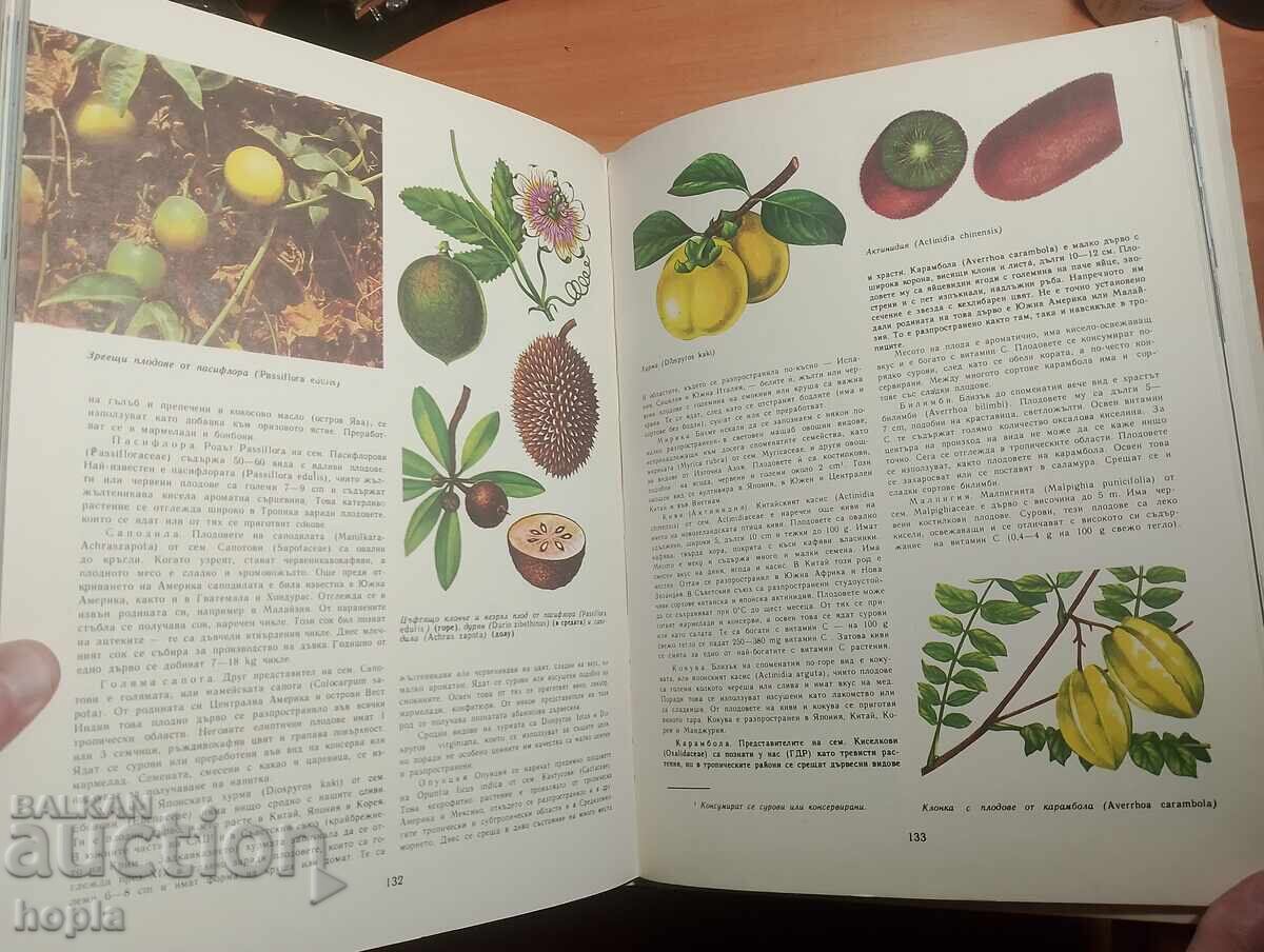 DARURI DE PE PĂMÂNT - 5