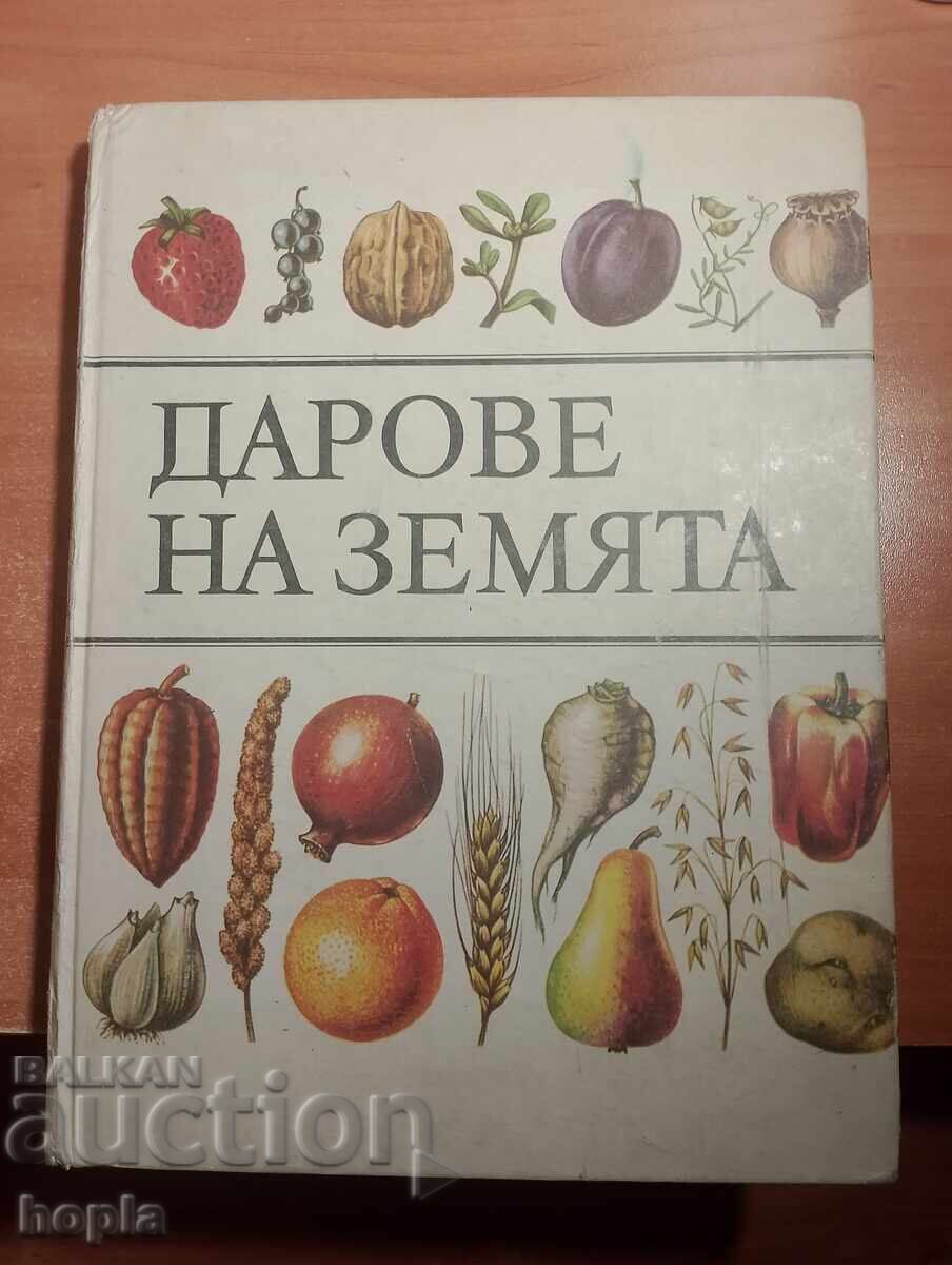 DARURI DE PE PĂMÂNT