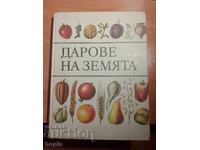 DARURI DE PE PĂMÂNT