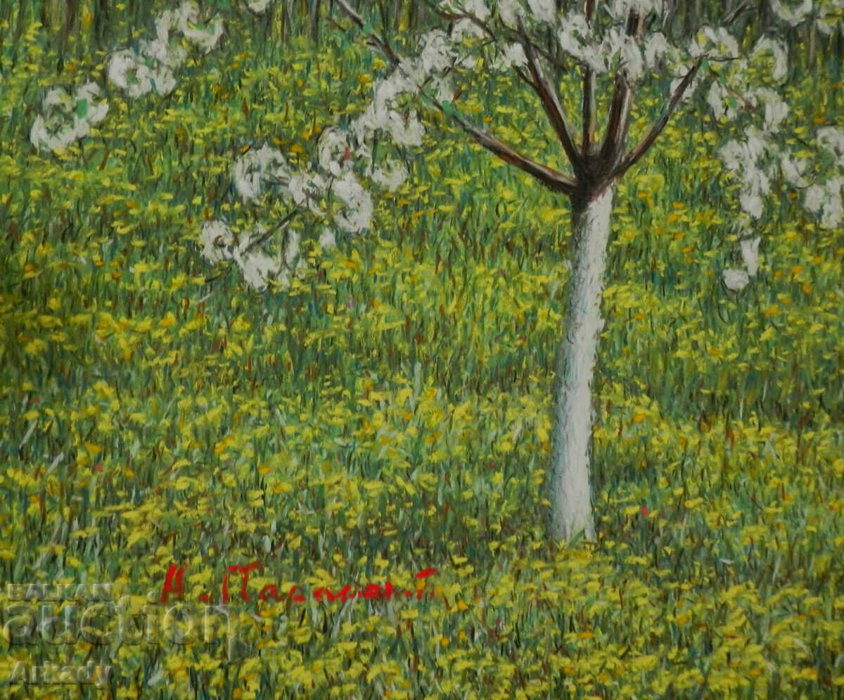 Аукцион Черешов цвят върху поле от глухарчета.