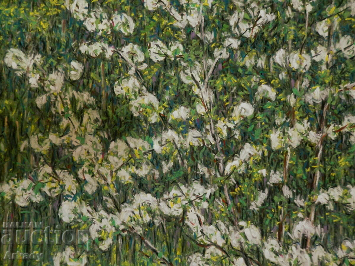 Доставка на Черешов цвят върху поле от глухарчета.