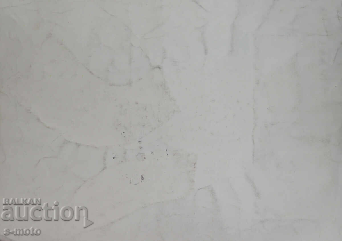 Petŭr Rashkov kartina tush / tempera - 6